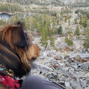 Meet your Posher, Julie